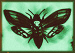 Digital art of a moth